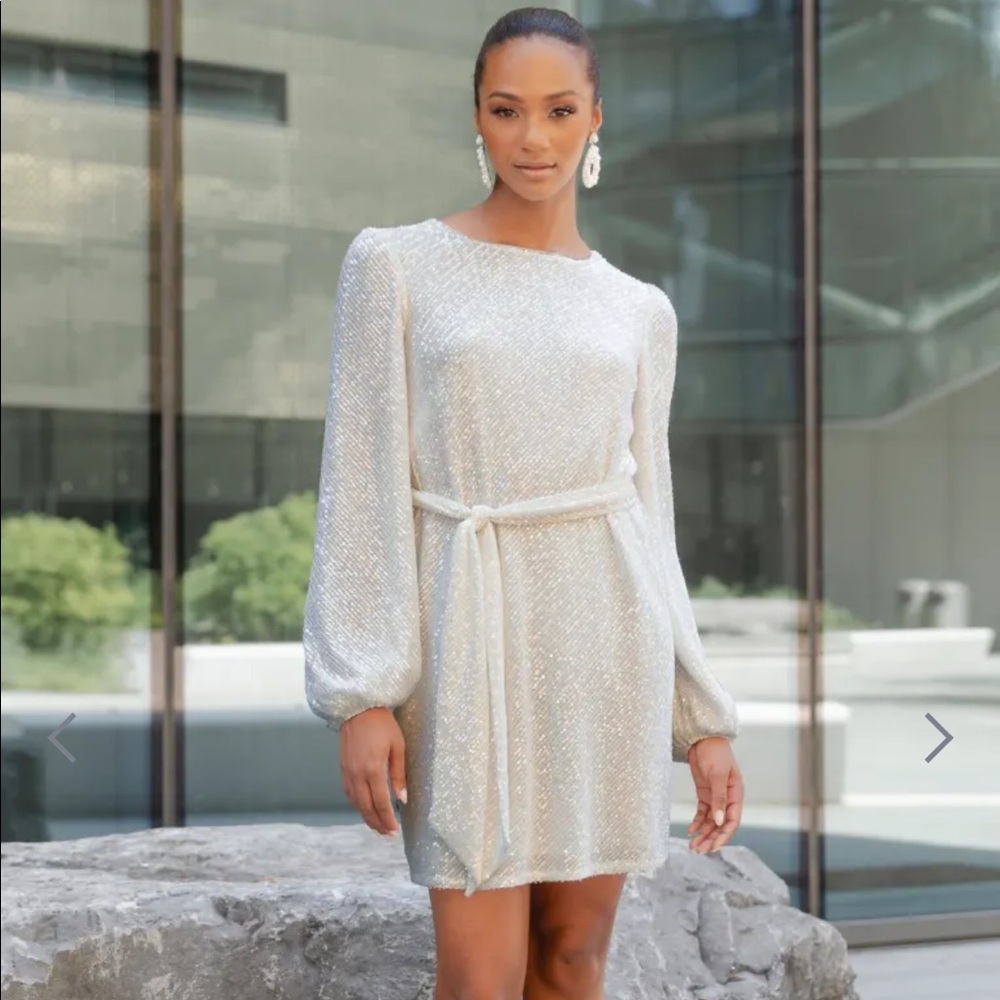 Jenny Yoo Silver/Nude sequin dress